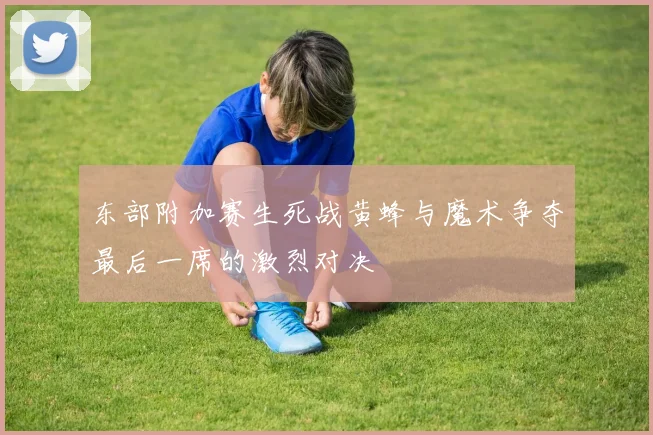 东部附加赛生死战黄蜂与魔术争夺最后一席的激烈对决