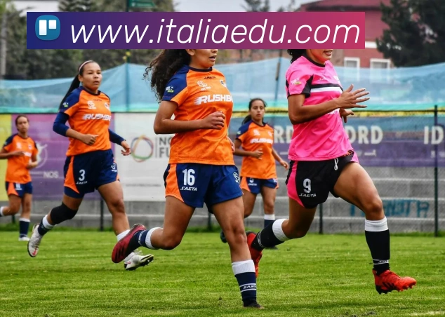 milan米兰app官网APP 封面图